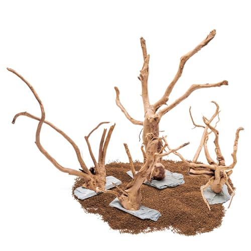 Ultum Nature Systems Driftwood - Spider Wood on Slate Stone for Fish Tank, Planted Tank, Terriarium, Paludarium - Versatile Natural Driftwood Decor - Spider Wood on Slate Stone, S 7-12", 3 Pack - size: 7-12" 3-Pack