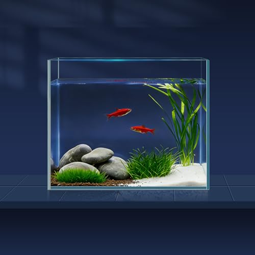 LAQUAL 1 Gallon Fish Tank Starter Kit with Fish Net, 1 Water Changer Siphons & 2 Cleaning Cloth, Crystal Clear Glass Fish Tank, Small Fish Tank/Aquarium for Betta & Goldfish, Nice Home Décor - color: 1 gal square