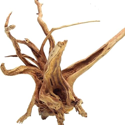 Jorewood Natural Large Spiderwood Driftwood for Aquarium Decor Rptile Fish Tank Decoration Assort Branch 13-16'' Pack of 1 - size: Spiderwood 13 to 16 Inch (Pack of 1)