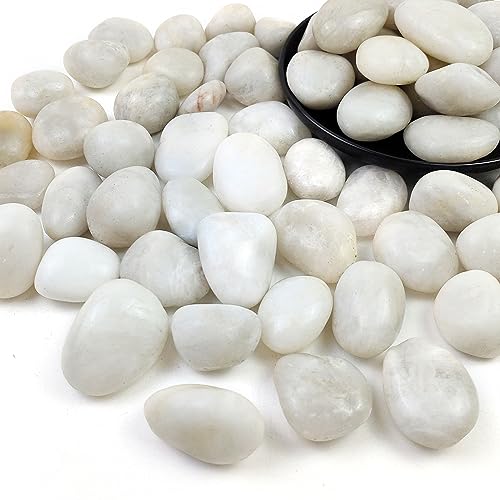 2LB Polished White River Rocks,1-2.2 Inch Pebbles for Plants Stones for Landscaping Pebbles for Fish Tank Garden Vase Filling Pebbles Outdoor Decorative River Rocks - size: 2LB, style: White