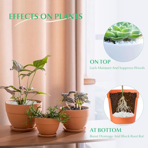 Mr. Fireglass 10 lbs White Pebbles,1/5" Natural Decorative River Rocks Aquarium Gravel for Indoor Plants, Vases, Succulents and Outdoor Garden Landscaping - color: White, size: 10 Pounds