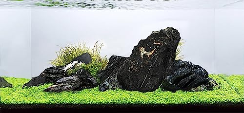 LANDEN Dark SEIRYU Stones Natural Rocks(17lbs, 3~11 inches,7-8pcs) for Aquarium, Paludarium, Terrariums, Landscaping Rocks, Decorative Aquarium Rocks - size: 08 Dark Seiryu Stones(3-11inch,17lbs)