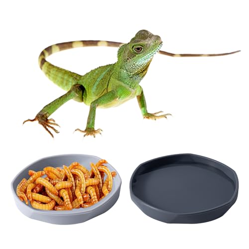 COMSUN 4 Pack Small Reptile Food Dish Bowl, Plastic Worm Water Dish Plate for Lizard Gecko Bearded Dragon Chameleon 4" W x 4" D x 0.5" H, White and Grey - color: White and Grey