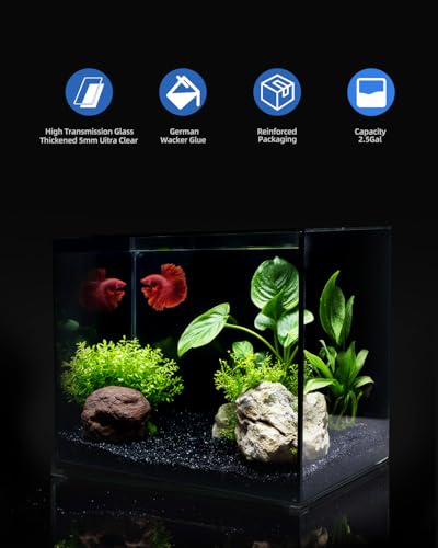 2.5 Gallon Clear Glass Fish Tank, Small Fish Tank Aquarium for Betta, Goldfish, Snail,Shrimp and Aquatic Planting - color: Black, size: 2.5 Gallon