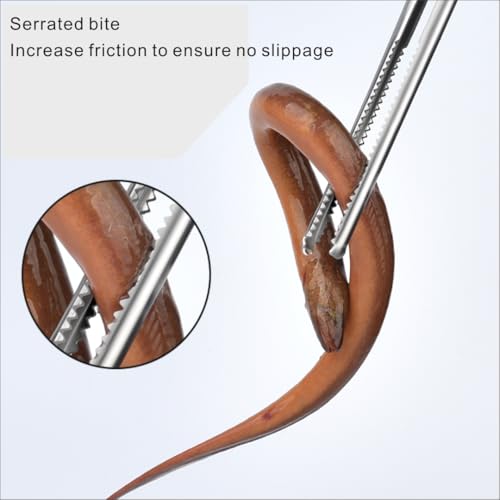 Stainless steel crab and reptile feeding pliers, 15 inch double pack, straight mouth and curved serrated jaws, suitable for live seafood and pet care
