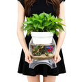 Geelin 0.5 Gallon Plastic Aquaponic Betta Fish Tank Aquaponic with Base and Top, Small Bowl Shatterproof Ecosystem Aquarium with Clear Clarity for Terrarium, Flower Vase Betta Fish Centerpiece Gifts - size: 0.5 Gallon