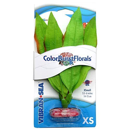 ColorBurstFlorals Amazon Sword XSmall Silk Aquarium Plant