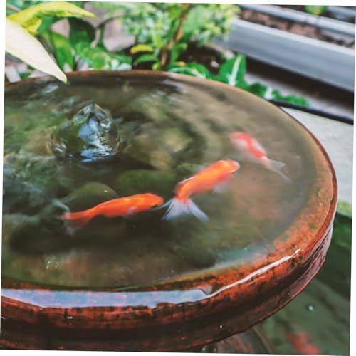 SOLUSTRE 1 Set Floating Plant Rings for Aquariums of Fish Tank Feeding Rings with Suction Cup Versatile Design for Easy Installation and Feeding of Aquatic Plants Fish Tanks