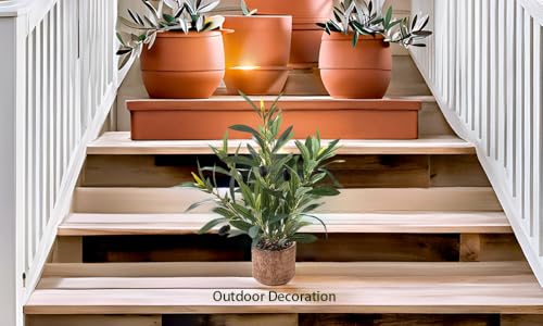 Indoor Fake Olive Plant 12 inch Faux Silk Leaves with Black Rustic Planter Medium Size Perfect Artificial Olive Fruits with Realistic Trunk and Lifelike Stems for Home and Office Decor - color: Plant a