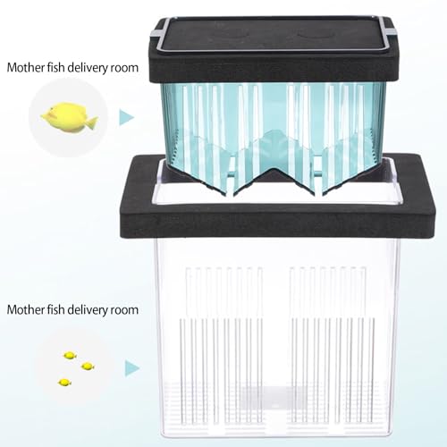 Floating Breeding Box for Aquarium Clear Design Safe Hatchery Container for Shrimp Fish Fry Secure Habitats Aquarium Accessory