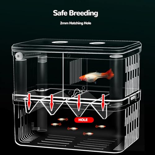 J-star Large Fish Breeder Box for Aquarium Tank, Acrylic Breeding Box for Guppy/Betta/Shrimp/Clownfish, Baby Fish Hatchery & Isolation Tank - size: Large