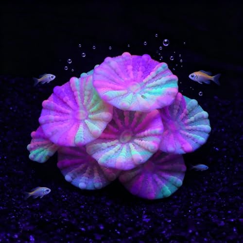 ZtohPyo Aquarium Glowing Silicone Musfroom Coral Ornament for Fish Tank Landscape Decoration, Artificial Glow in The Dark Soft Aquarium Plant for Aquarium Decor Accessories - color: Musfroom Coral