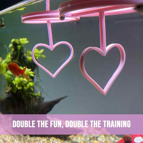 Floating Heart Betta Training Ring, Heart Active Betta Training Ring, Floating Feeder, Enrichment Toys for Aquarium Decor, Pink, 3.8in x 3.7in (Pink, Pack of 2) - color: Pink, size: Pack of 2