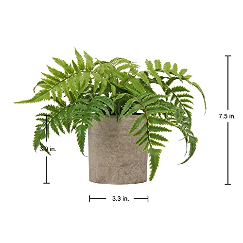 Briful Small Fake Plant Potted Plants Artificial Decor Plastic Ferns Plant Faux Plants in Pots for Home Living Room Bedroom Desk Bathroom Shelf Farmhouse Decoration - color: Color #02