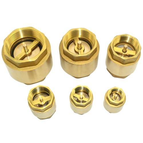 DAN SPEED Brass Check Valve,Female Thread Spring Check Valve,One Way Horizontal Check Valves for Backflow Prevention,Well, Pump, Tank ((DN25) 1'')