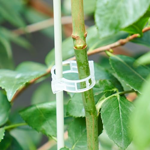 200Pcs Garden Vine Plant Support Clips,Plastic Fixing Clips for Securing and Training Climbing Plants,Tomatoes,Grapes,Vine Vegetables and Potted Plant (200, White) - color: White