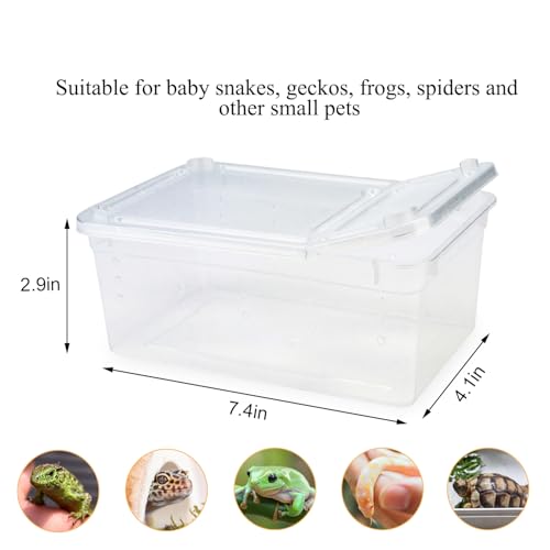 Hypeety Small Reptile Breeding Box for Reptiles Small Snake Turtle Spiders Geckos Frogs Breeding Box Case Feeding Hatching Container Reptile Tank Terrarium