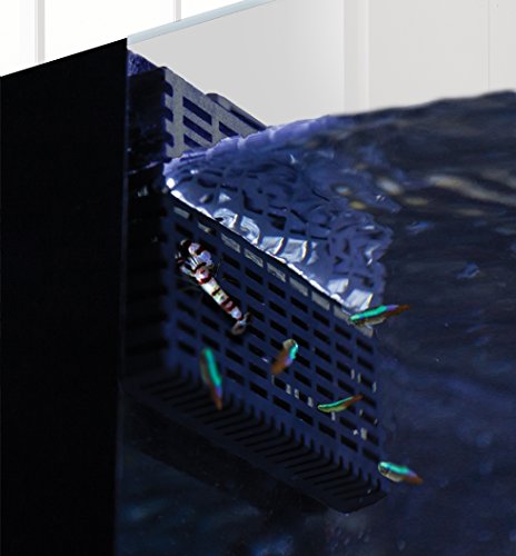 Innovative Marine Fish Guard - 2 Pack (Midsize/SR) - size: 2 pack