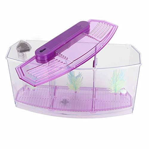 2 Betta Fish Tank With Divider, Aquarium Fish LED Acrylic Three Divisions Breeding Isolation Box for Small Fishes Aquarium Fish () - color: Purple