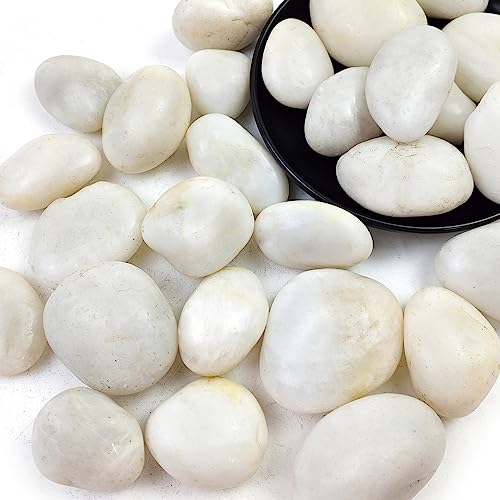 40LB White River Rocks - 2-3 inch High Polished Decorative Pebbles, Stones for Landscaping, Natural River Rocks for Outdoor Décor, Plants,Vase Filler,Fish Tank - size: 40LB, style: White
