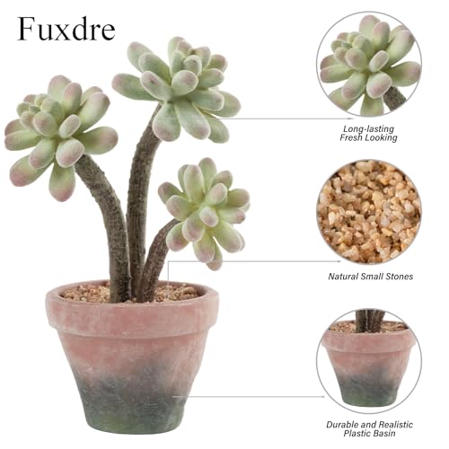2-Pack Artificial Succulent Plants in Vintage Plastic Pots - Waterproof Fake Succulents Decor for Home, Office, Desk - Low Maintenance Indoor Plants for Bathroom, Shelf, Table Decor - color: Succulent-a-2pcs