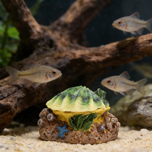 WishLotus Aquarium Bubbler Decorations, Opening and Closing Shells Air Bubbler Decor Ornament for Fish Tank (White Green, M) - color: White Green, M
