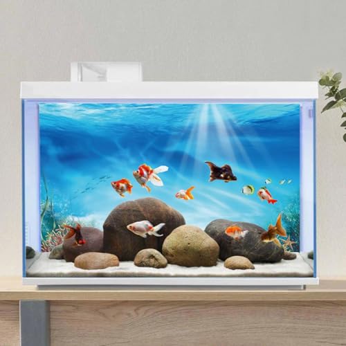 AWERT Undersea Theme Aquarium Background Colorful Coral Tropical Fish Sunshine Underwater World Fish Tank Background 36x18 inches Durable Polyester Background - size: 36x18in/90x45cm