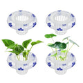 4 Pcs Floating Aquarium Plant Holder, Plant Basket for Aquarium with Floating Rings for Fish Tank Aquaponic Plant Cultivation and Aquarium Decor