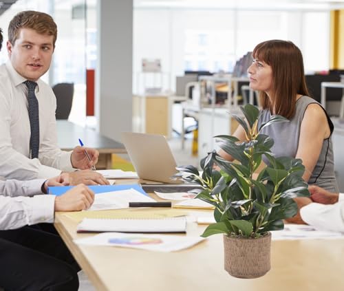 12.6" Fake Plants in Brown Ceramic Vase Realistic Ficus Leaf Faux Plant for Desk Book Shelf Bathroom Office Kitchen Counter Bedroom Small Space Ready to Display Artificial Indoor Plant Decor