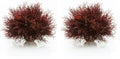 biOrb Sea Lily Crimson (Pack of 2) - color: Crimson, size: 1 Count (Pack of 2)