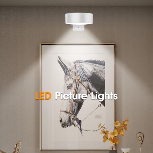 Picture Lights for Wall, 3 Lighting Modes Magnetic Art Display Light,Rechargeable Battery Operated Led Painting Light with Remote Control Dimmable & Timer,3Pack White - color: White, size: 3 Pack