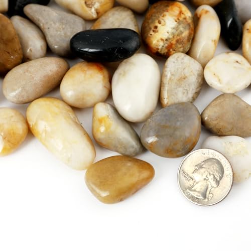 5LB 1/4-5/8Inch Polished River Rocks for Plants with Mixed Colors Decorative Natural River Stones Pebbles for Outdoor Small Stones Gravels for Home Decoration
