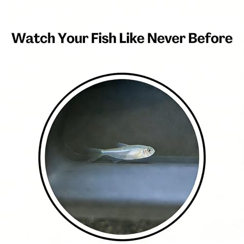 Aquarium Underground Tunnel Cave Natural Curve with Holes for Viewing, Fish Tank Decoration Hideout, for Cory Catfish, Shrimp, Loach and Pleco, Black