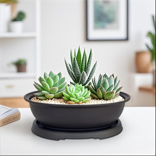 MUZHI 3 Pack Oval Bonsai Pot with Drainage Tray, Matte Finish Plastic Bonsai Growing Planters with Tools for Home Garden Plant Container (9.1" Large) - size: 9.1" Large