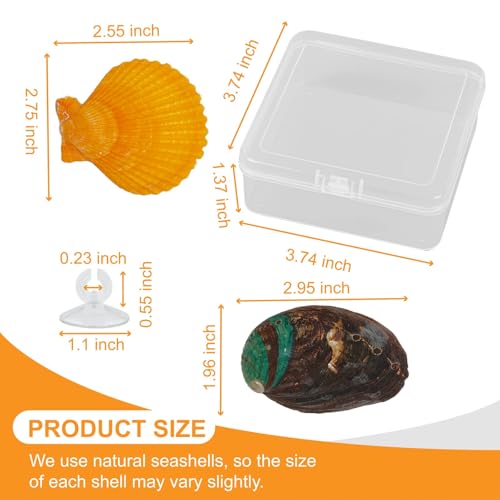 2Pcs Betta Fish Resting Spot Bed Shell House Dual Habitat Aquarium Hideout Toys for Beta Fish Floating Beds and Tank Hides Seashell Hide Accessories with Hammock Resting Spots and Hiding