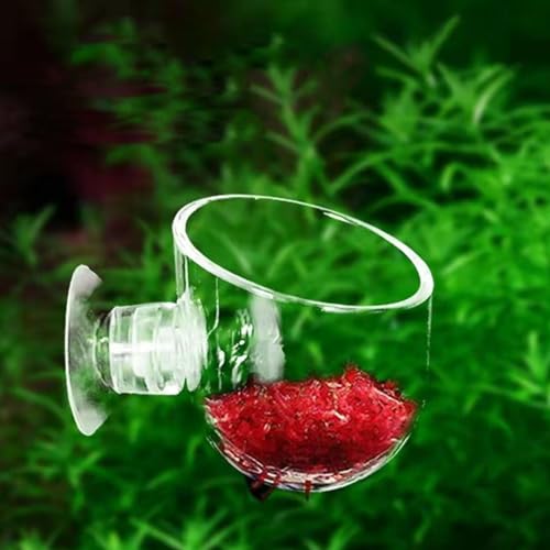 10 Pcs Aquarium Plant Holder, Clear Fish Tank Plant Holder for Aquascape Decoration, Red Worm Feeder, Aquarium Planter Pot with Suction Cup, Betta Fish Tank Accessories Aquariums Decor - size: S
