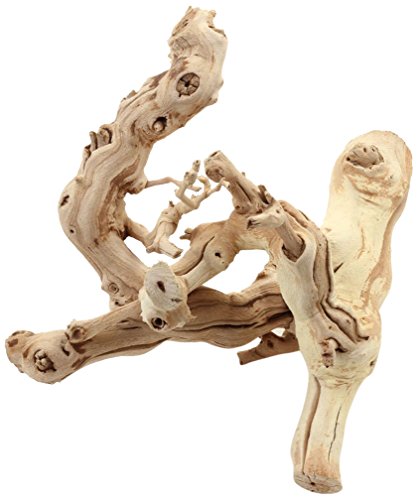 Koyal Wholesale Grapewood Branch, 12-Inch