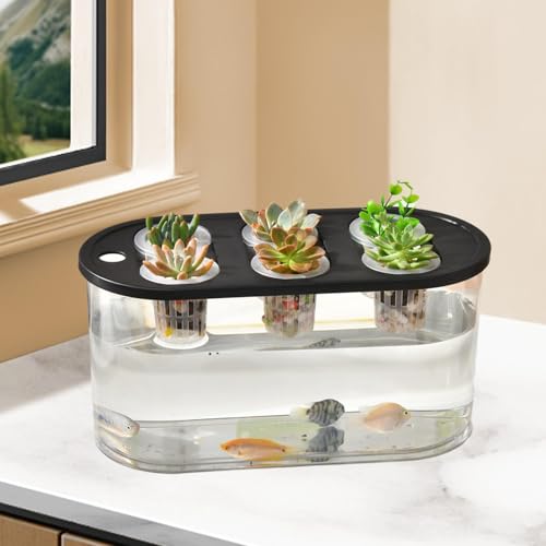 Hydroponic, Hydroponic System, Planting Container, 6 Holes, Indoor Tabletop Mini Aquarium for Plants and Fish, Black - color: Black