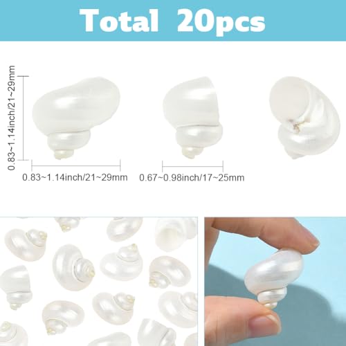SUNNYCLUE 1 Box 20Pcs Spiral Sea Shells Natural White Shells No Hole Spiral Turbo Hermit Crab Seashells for Crafts Vase Fillers Fish Tank Beach Theme Party Wedding Aquarium Decor Jewelry Making