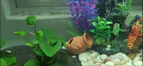 Ceramic Shelters, 2 pcs, Fish Tank Accessories, Fish House, Swim Holes Aquatic, Aquarium Cave for Freshwater and Saltwater Fish Tank, Pets to Breed, Play and Rest Decor (Pot)