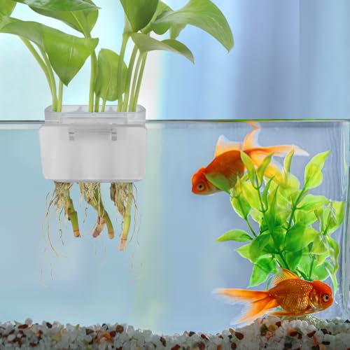 3 Holes Upgraded Aquatic Plant Cup Aquarium Plant Holder for Tank,Aquascape Accessories Decorations- White 2 Pcs - color: White 2 Pcs