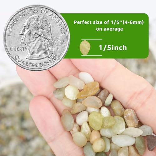 10lbs Natural Gravel Pebbles for Succulents and Cacti, 1/5 Inch Decorative River Stones – Perfect for Vases, Aquariums, Terrariums, and Outdoor Gardening, Mixed Colors (Jade, 10 Pounds) - color: Jade, size: 10 Pounds