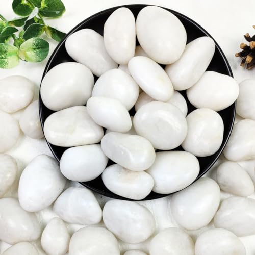 YISZM 10lbs White River Rocks, 1-2 Inch Natural Pebbles for Indoor Plants, High Polished Decorative Stones Vase Filler Fish Tank Aquariums Landscaping Garden Outdoor and Indoor DIY - color: White, size: 10 Pounds