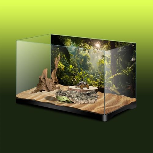 Aquarium Background, Ocean Fish Tank Background, Terrarium Background Cloth, Vinyl Cloth 24 x 12 inches - color: Forest, size: 24X12in