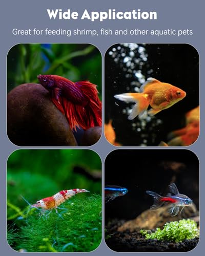 Pawfly Shrimp Feeding Dish with Suction Cup, Clear Acrylic Aquarium Shrimp Feeder, Fish Feeding Tray for Freshwater and Saltwater Tanks, Flower-Shaped