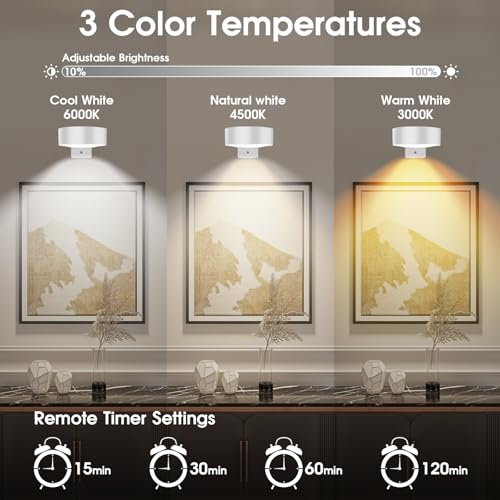 Picture Lights for Wall, 3 Lighting Modes Magnetic Art Display Light,Rechargeable Battery Operated Led Painting Light with Remote Control Dimmable & Timer,3Pack White - color: White, size: 3 Pack