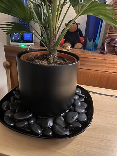 FANTIAN 20 lbs Black Pebbles for Plants, 0.8-1.2 inch Small River Rocks for Landscaping, Decorative Stones for Planters Vase Fillers Fish Tank Gravel and Garden Rocks - size: 0.8-1.2 inch, style: 20.0 Pounds