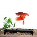 Slim Shrimp Breeding Protector | Shrimp Breeding Cave Aquarium Tunnel | CTWPets (Black)