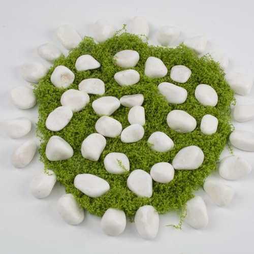 40 lbs White Polished Landscape Stones, 0.5-1 Inch Decorative Rocks for Gardens, Pathways, Pots, Vase Fillers, Aquarium Decoration, Glass Containers, and Yard Borde (Pure White, Weight: 40 LB) - color: Pure White, size: Weight: 40 LB