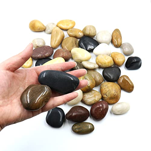 Polished Colored Stone Pebbles 10 Lb. 1” – 2” inch Pebbles for Plants, Fairy Gardens, Décor, Landscaping, Succulent, Terrarium, Decorative, 100% Natural Colorful Stone Pebbles, Multicolored Rocks
